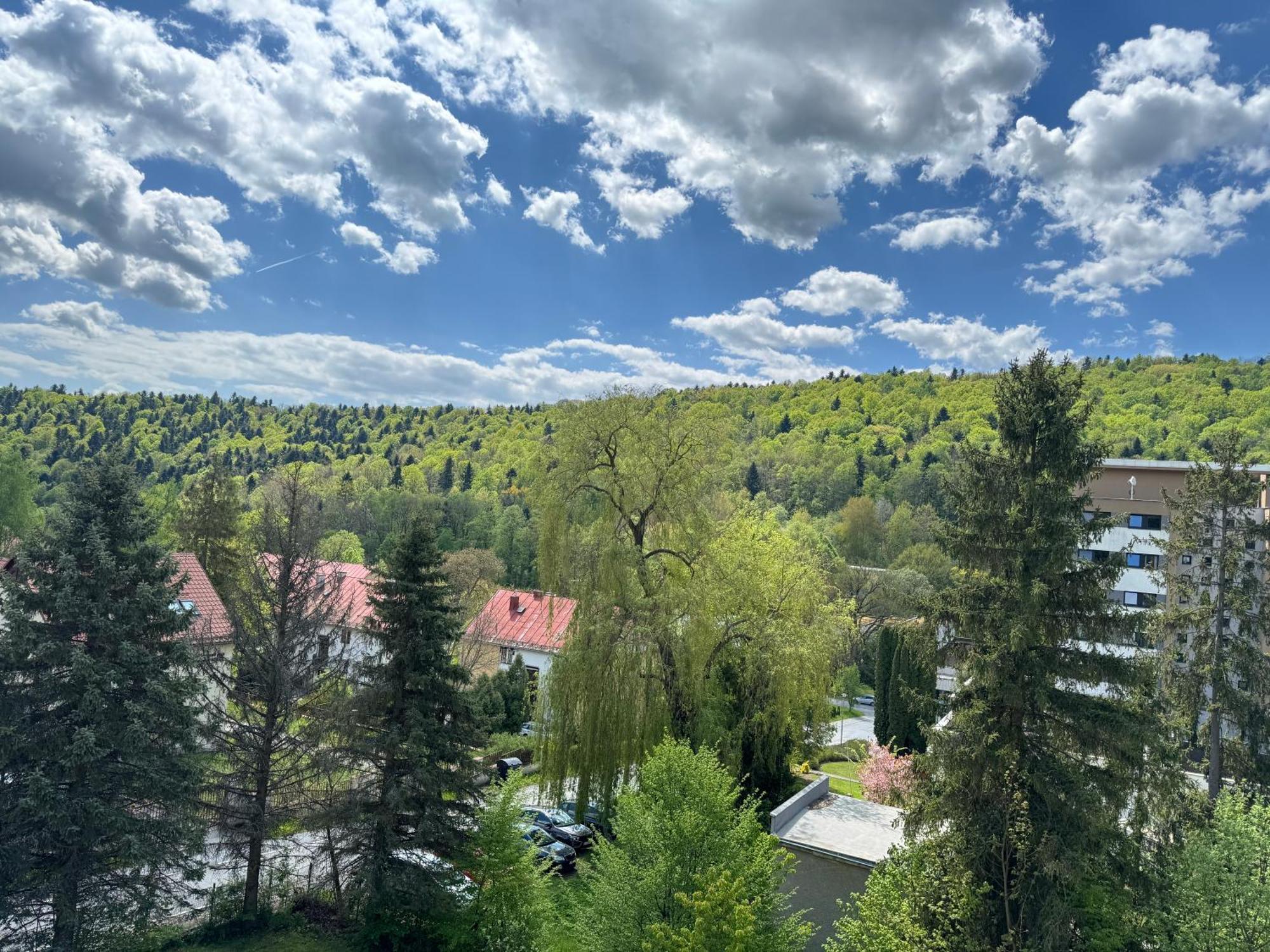 Penzion Zornicka Bardejovske Kupele Exterior photo